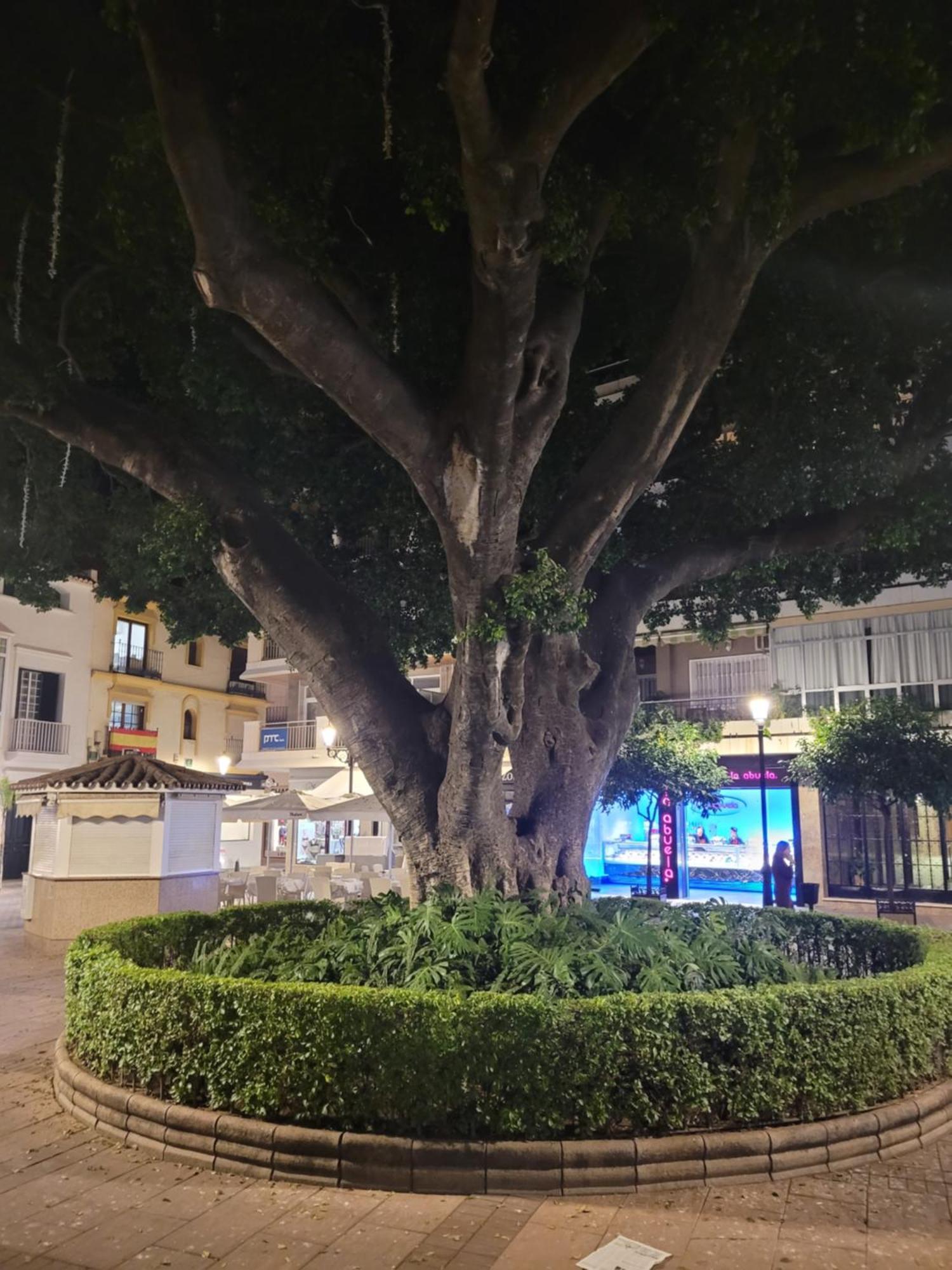 Apartment Center Sweet&beach